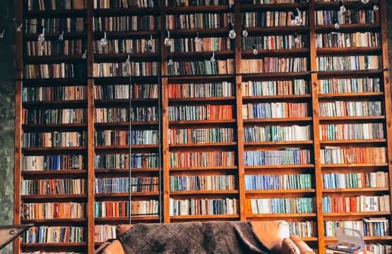 Bookshelf Cruizador ©Mariia Zakatiura