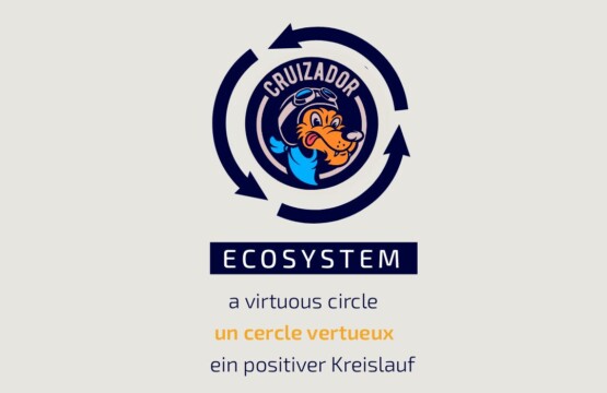 Cruizador Ecosystem Cercle Vertueux